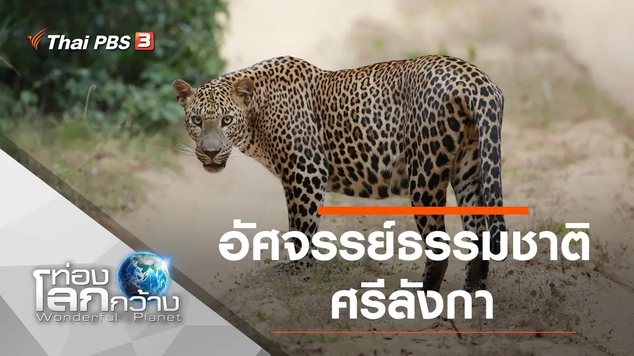 อัศจรรย์ธรรมชาติศรีลังกา