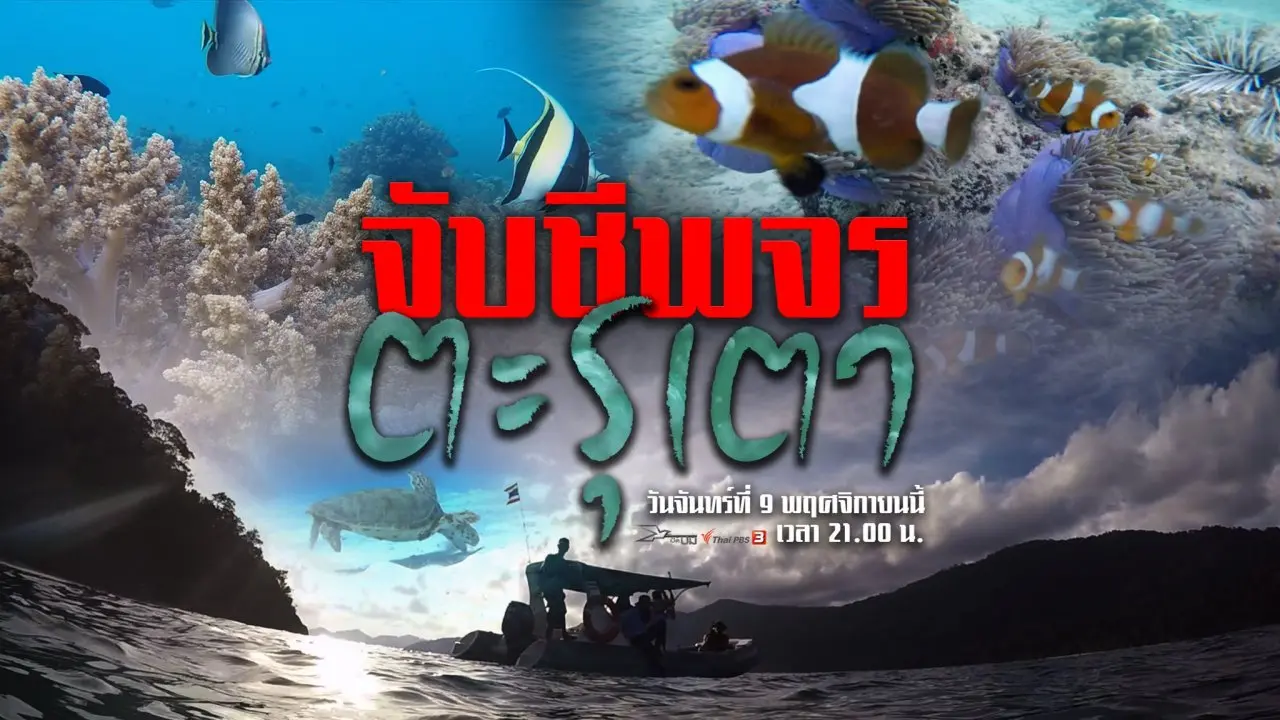 จับชีพจรตะรุเตา