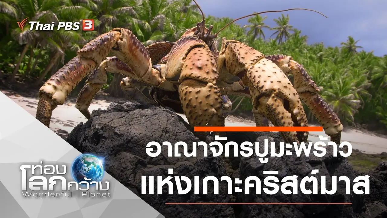 อาณาจักรปูมะพร้าวแห่งเกาะคริสต์มาส