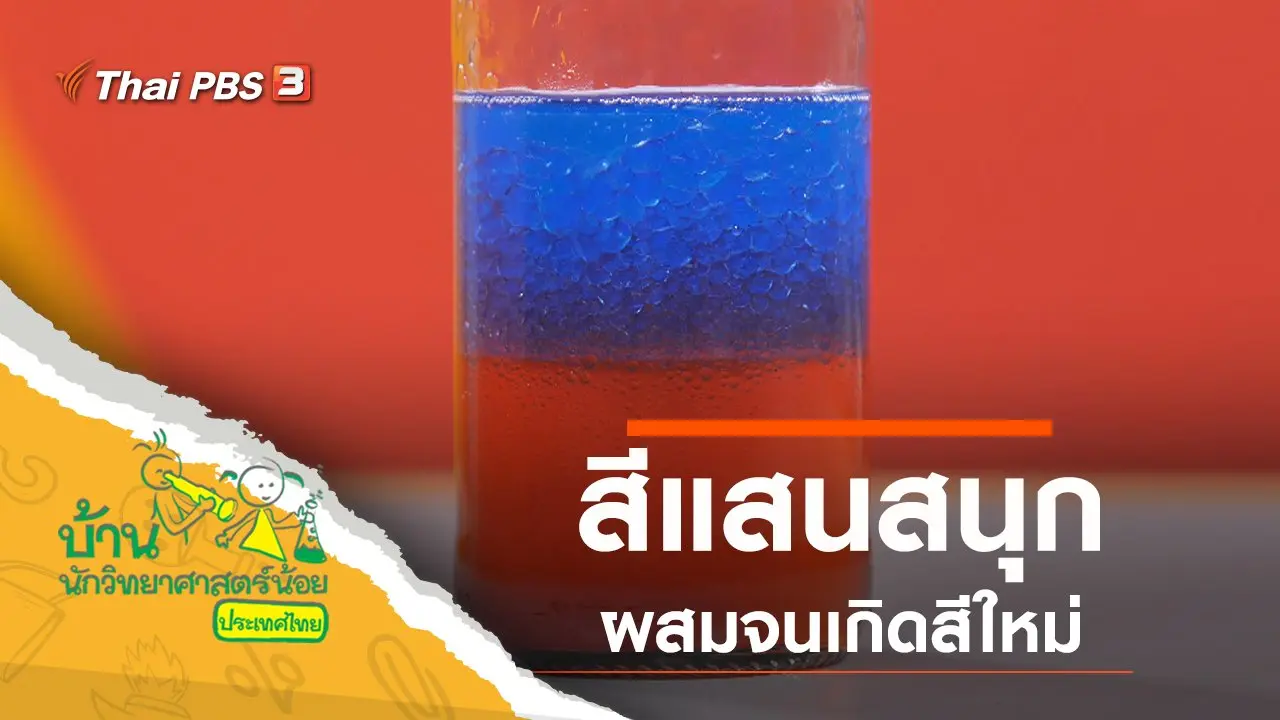 สีแสนสนุก