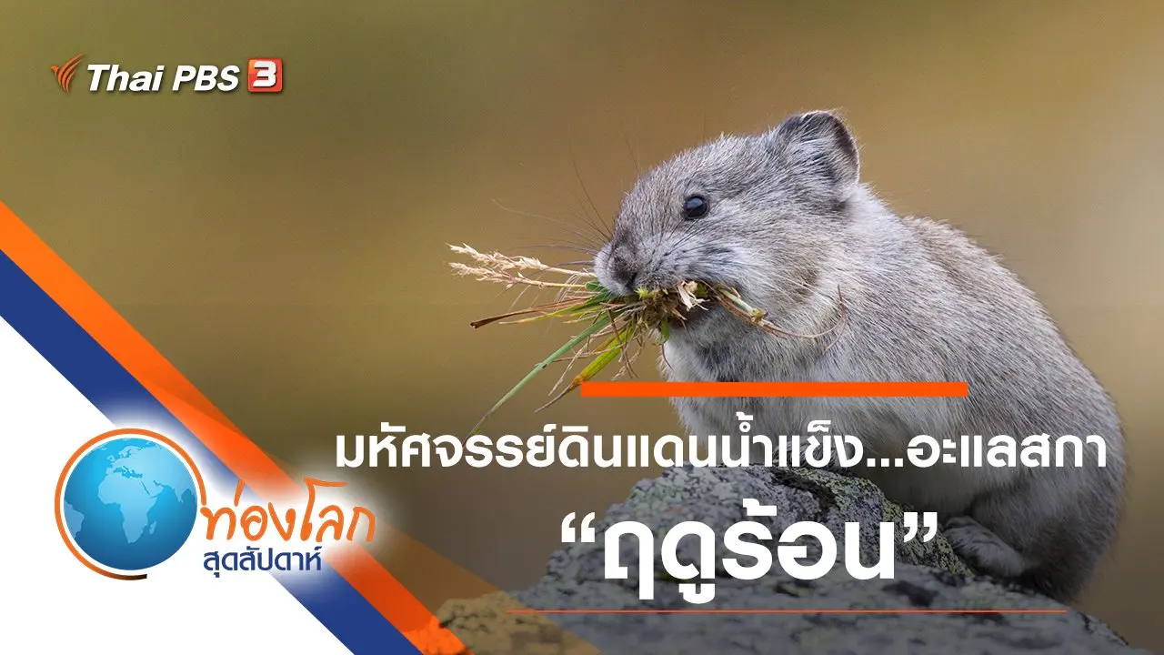 มหัศจรรย์ดินแดนน้ำแข็ง...อะแลสกา ตอน ฤดูร้อน