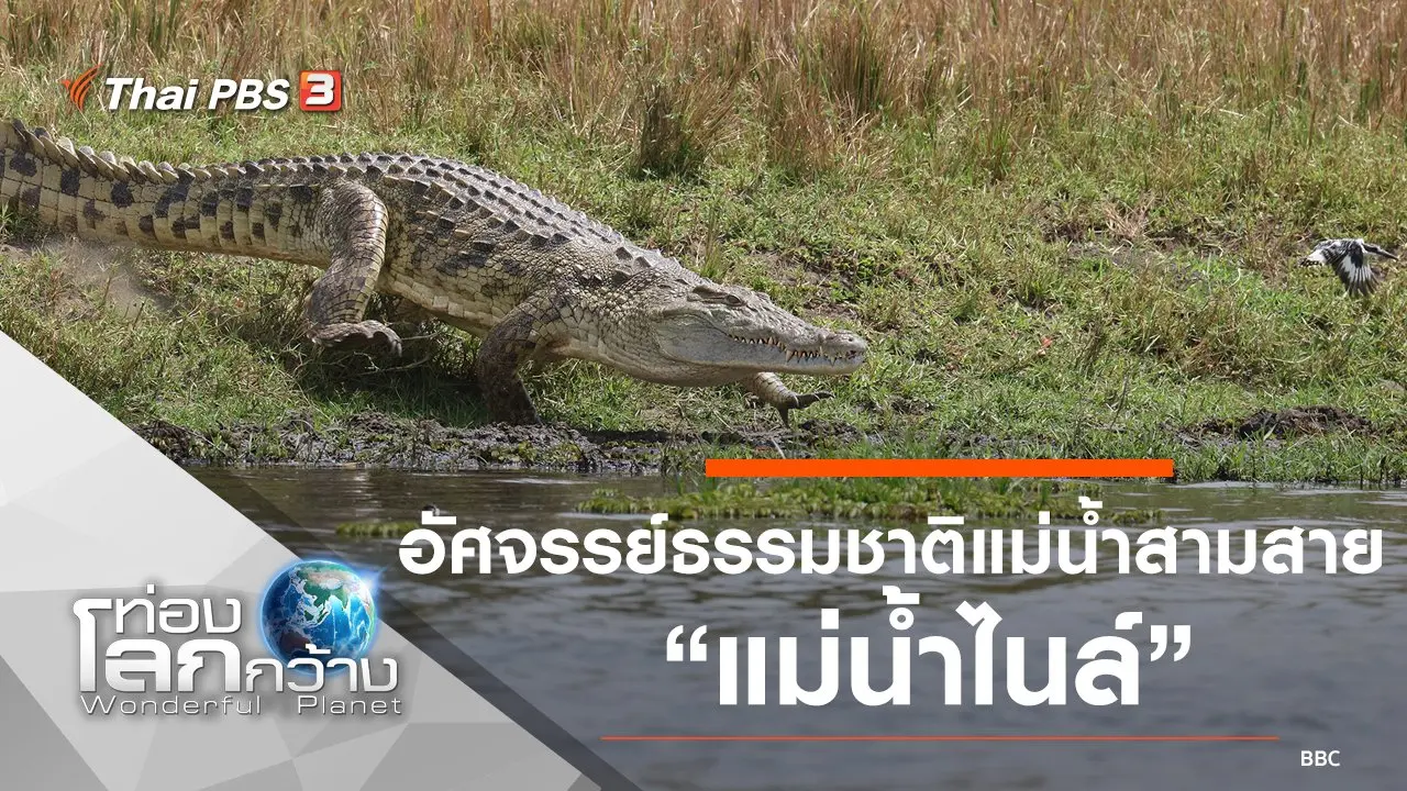 อัศจรรย์ธรรมชาติแม่น้ำสามสาย ตอน แม่น้ำไนล์