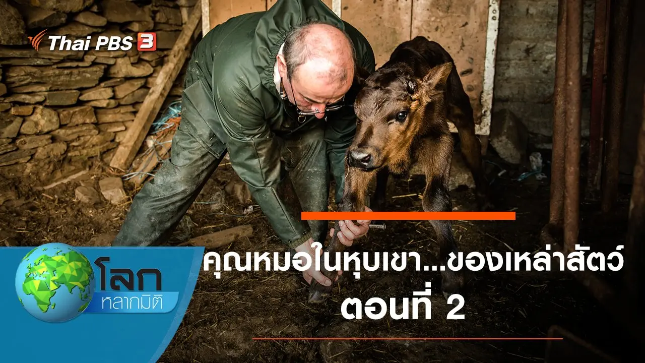 คุณหมอในหุบเขา...ของเหล่าสัตว์ ตอนที่ 2