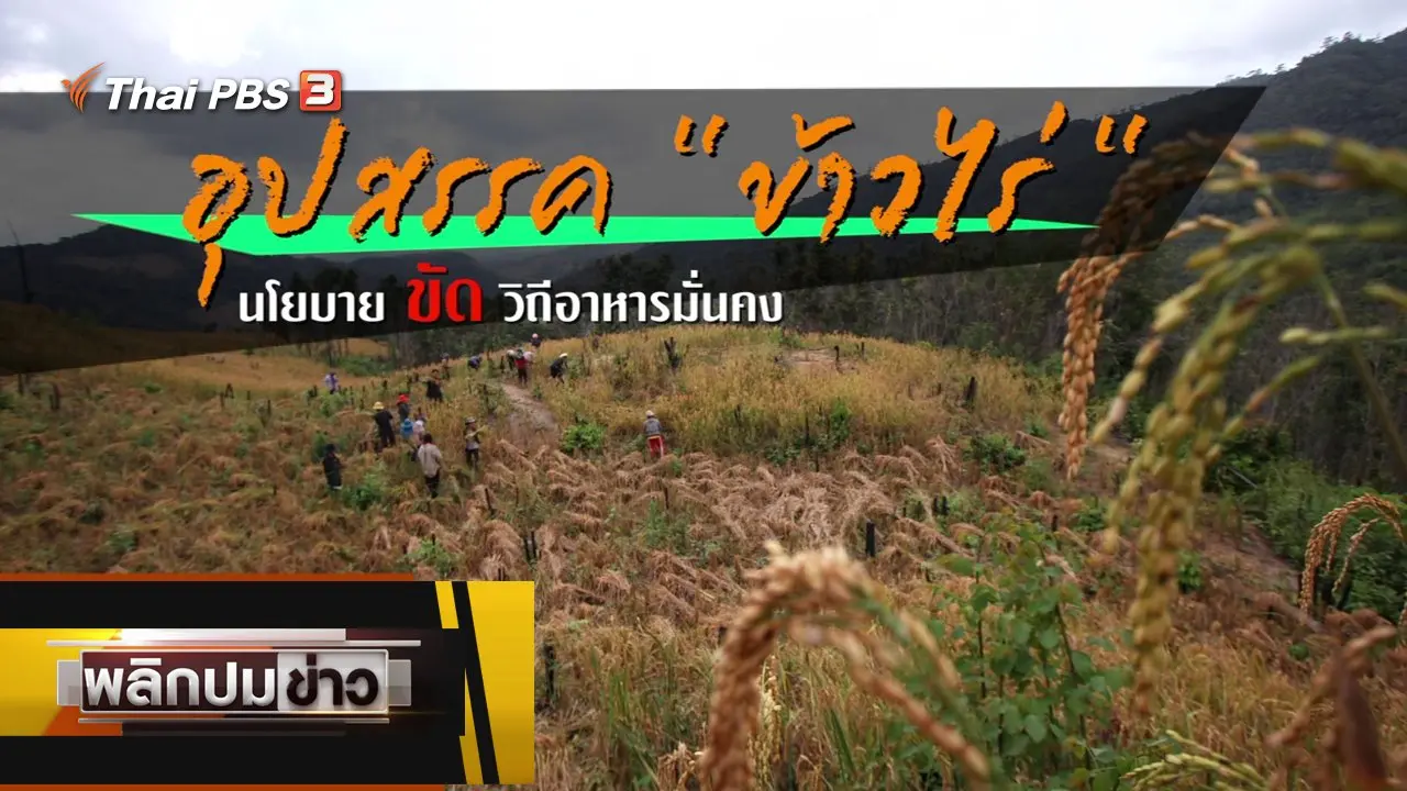 อุปสรรคข้าวไร่ นโยบายขัดวิถีิอาหารมั่นคง