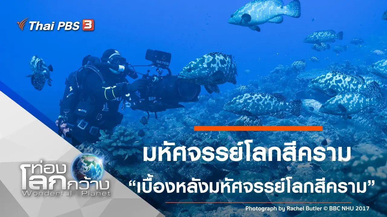 มหัศจรรย์โลกสีคราม ตอน เบื้องหลังมหัศจรรย์โลกสีคราม