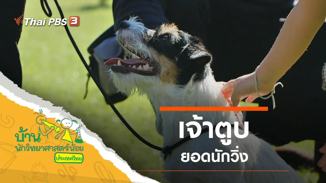 เจ้าตูบยอดนักวิ่ง