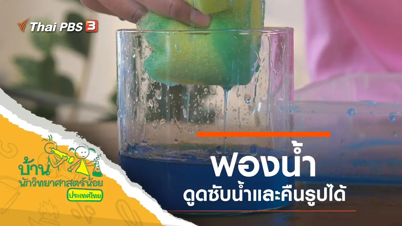 ​ฟองน้ำ