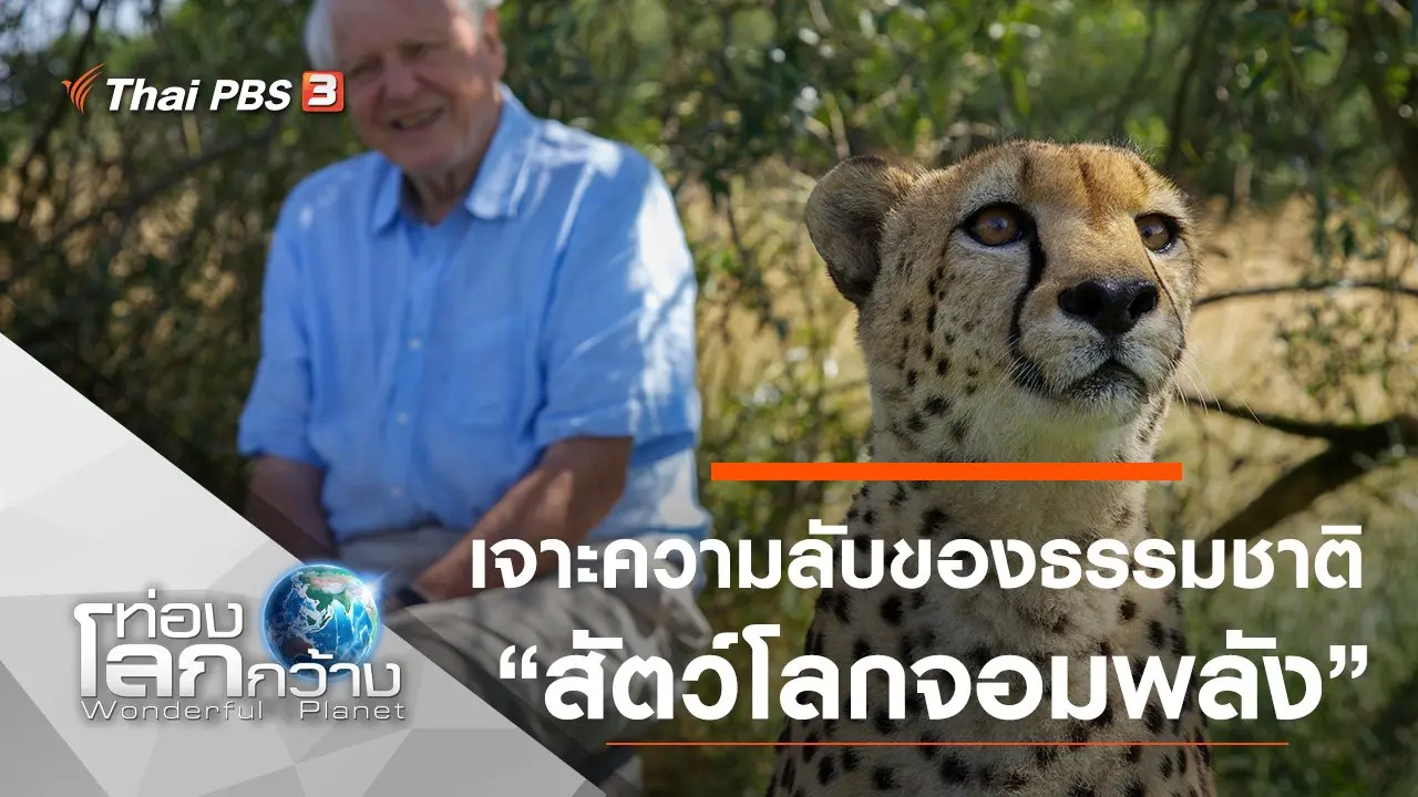 เจาะความลับของธรรมชาติ ตอน สัตว์โลกจอมพลัง และอวัยวะการกินพิเศษ