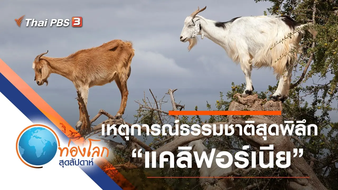 เหตุการณ์ธรรมชาติสุดพิลึก ตอน แคลิฟอร์เนีย
