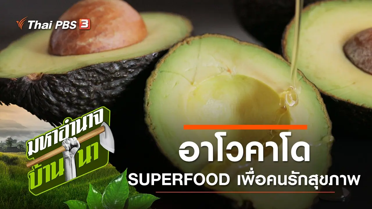 อาโวคาโด SUPERFOOD เพื่อคนรักสุขภาพ