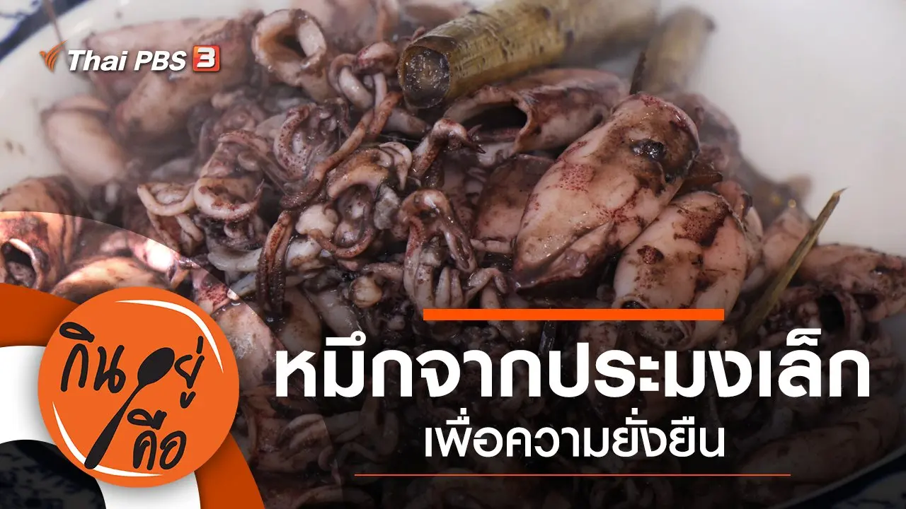 หมึกจากประมงเล็กเพื่อความยั่งยืน