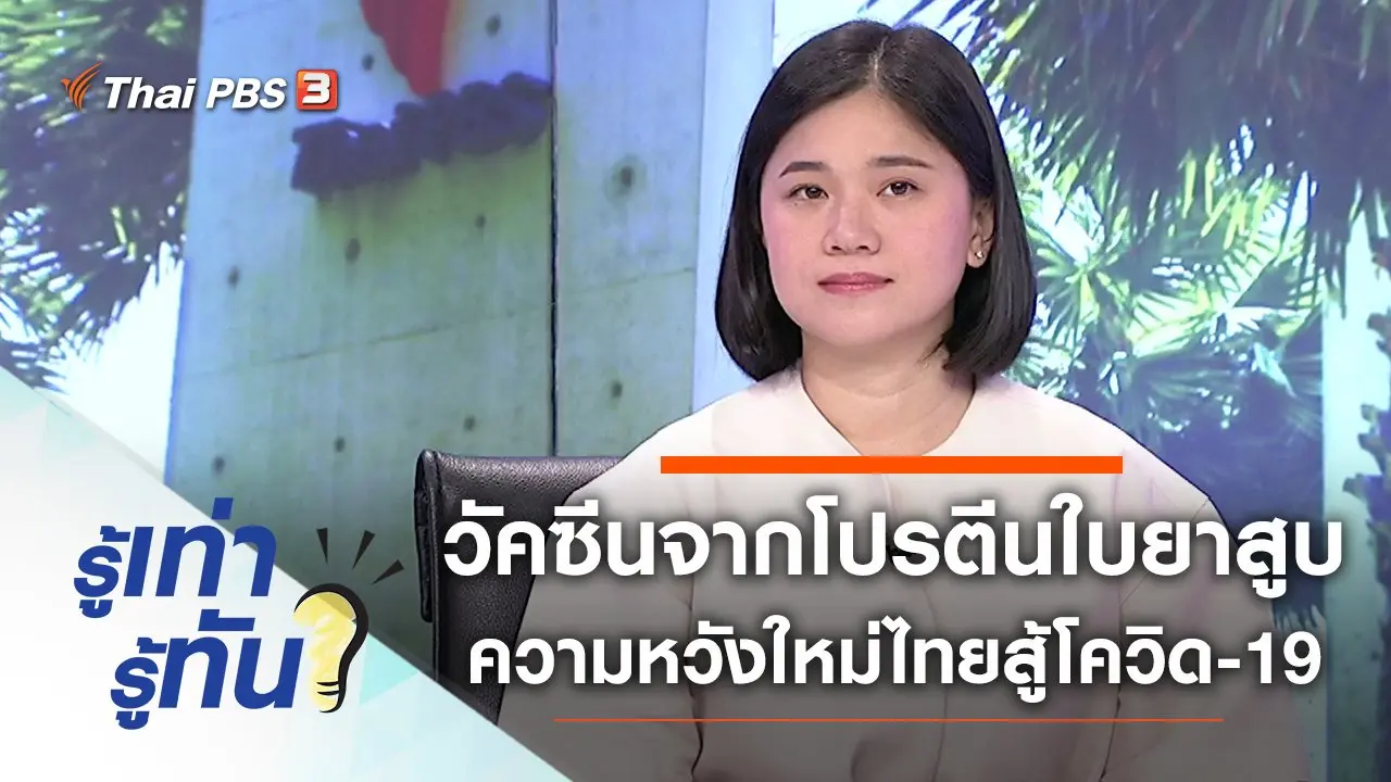 วัคซีนจากโปรตีนใบยาสูบ ความหวังใหม่ไทยสู้โควิด-19