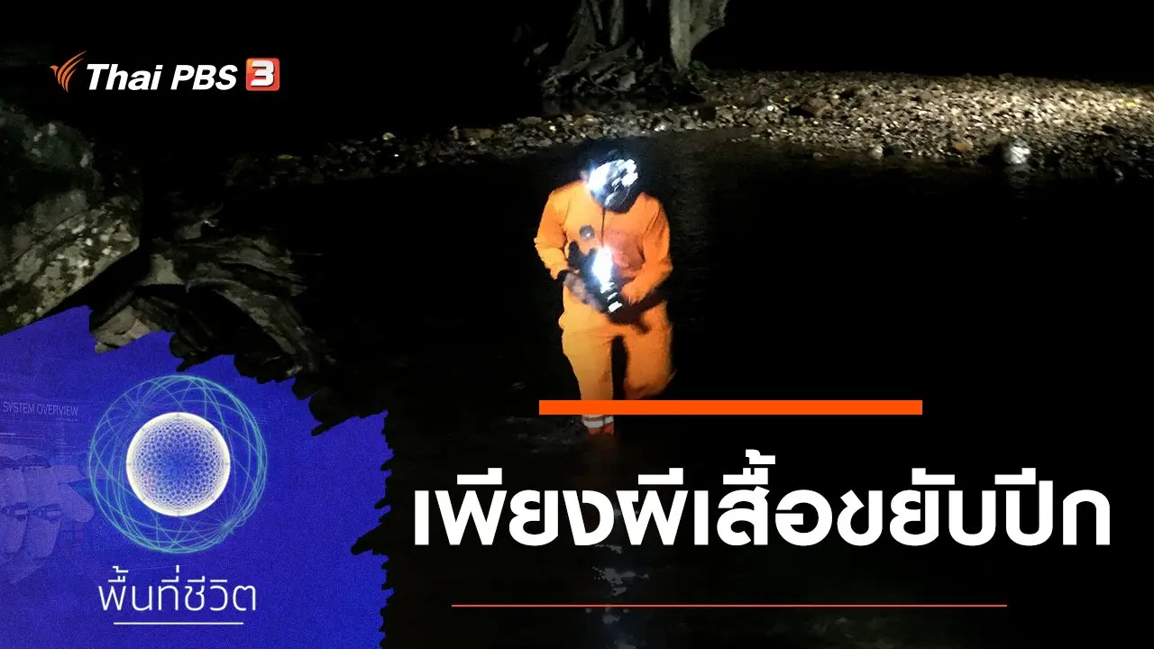 เพียงผีเสื้อขยับปีก