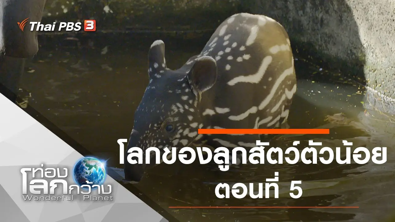 โลกของลูกสัตว์ตัวน้อย ตอนที่ 5