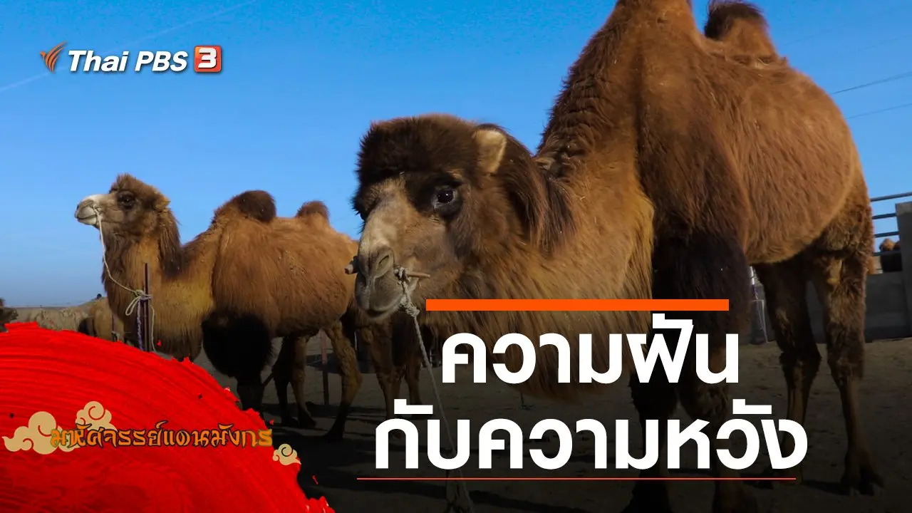 ความฝันกับความหวัง