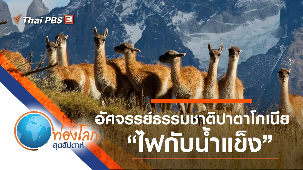 อัศจรรย์ธรรมชาติปาตาโกเนีย ตอน ไฟกับน้ำแข็ง
