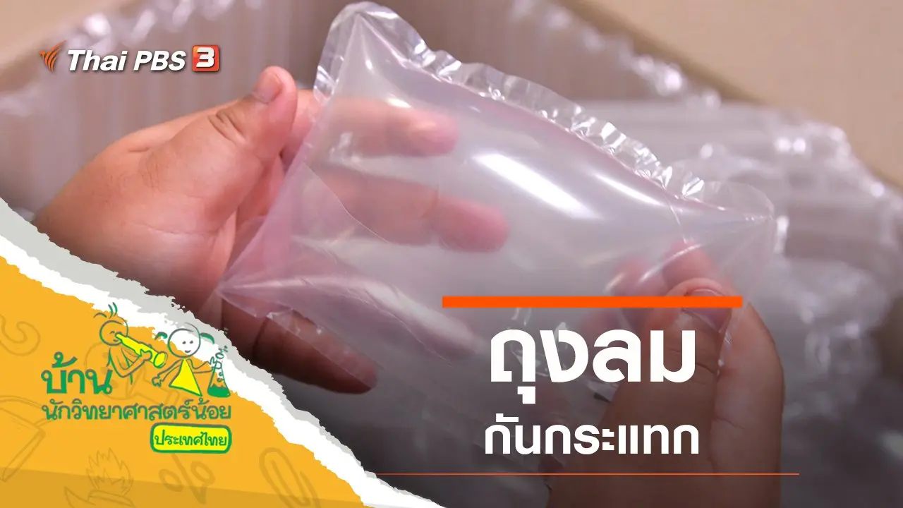 ถุงลมกันกระแทก