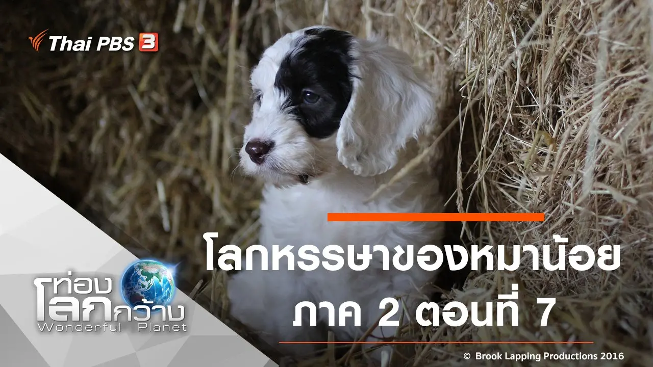 โลกหรรษาของหมาน้อย ภาค 2 ตอนที่ 7