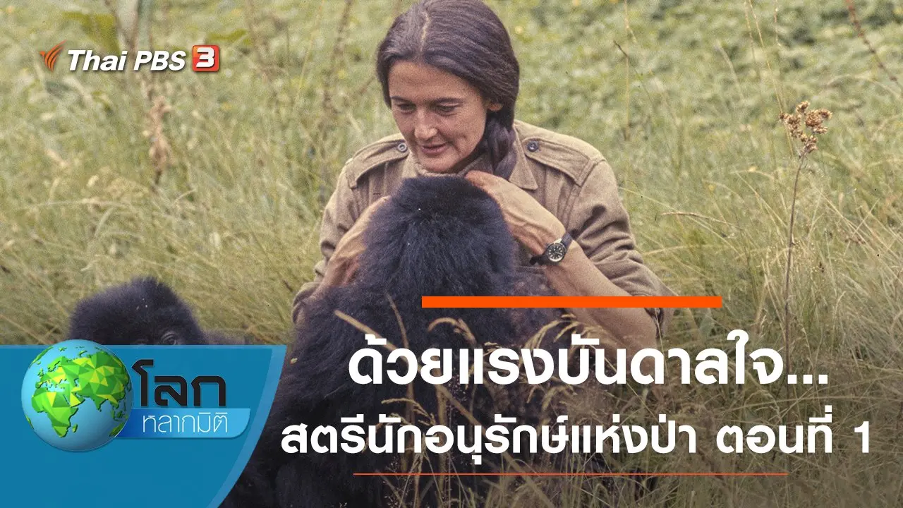 ด้วยแรงบันดาลใจ...สตรีนักอนุรักษ์แห่งป่า ตอนที่ 1