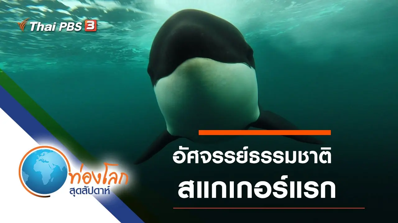 อัศจรรย์ธรรมชาติสแกเกอร์แรก