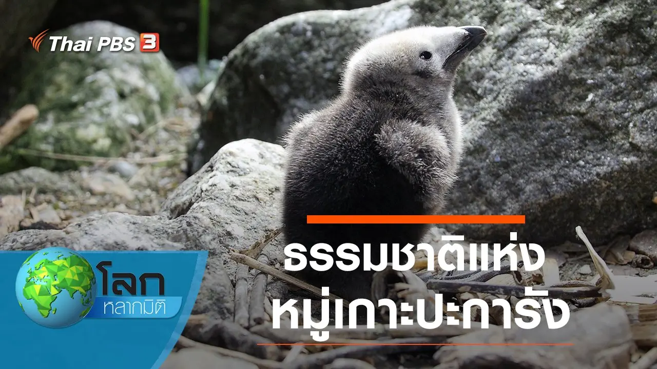 ธรรมชาติแห่งหมู่เกาะปะการัง