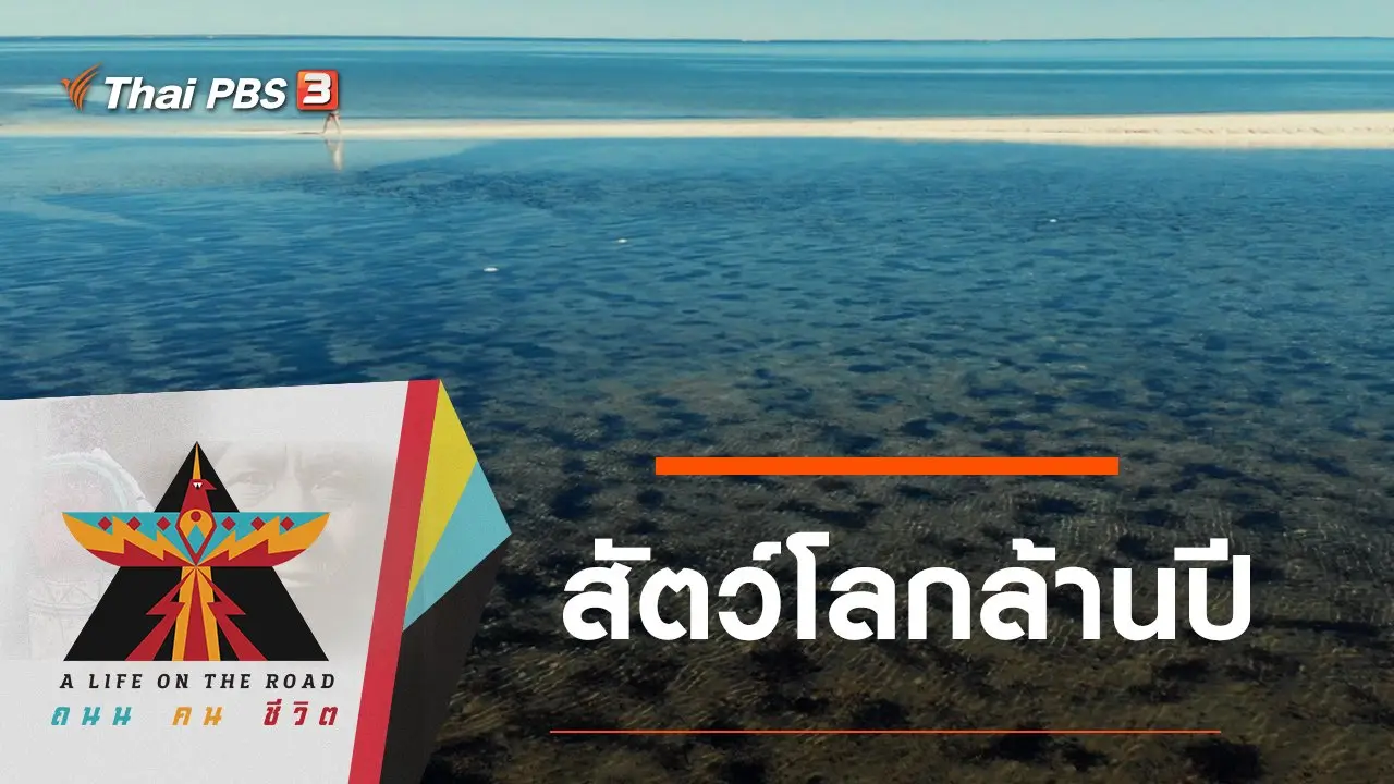 สัตว์โลกล้านปี