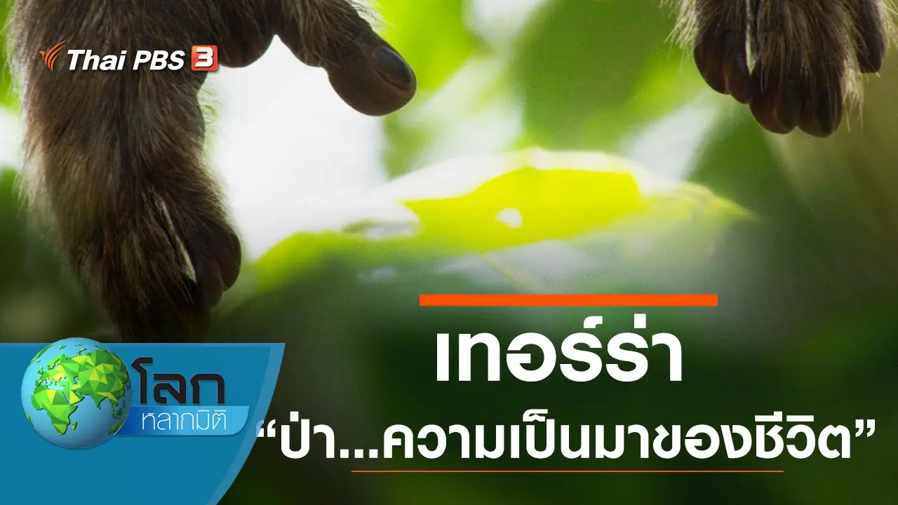 เทอร์ร่า ตอน ป่า...ความเป็นมาของชีวิต