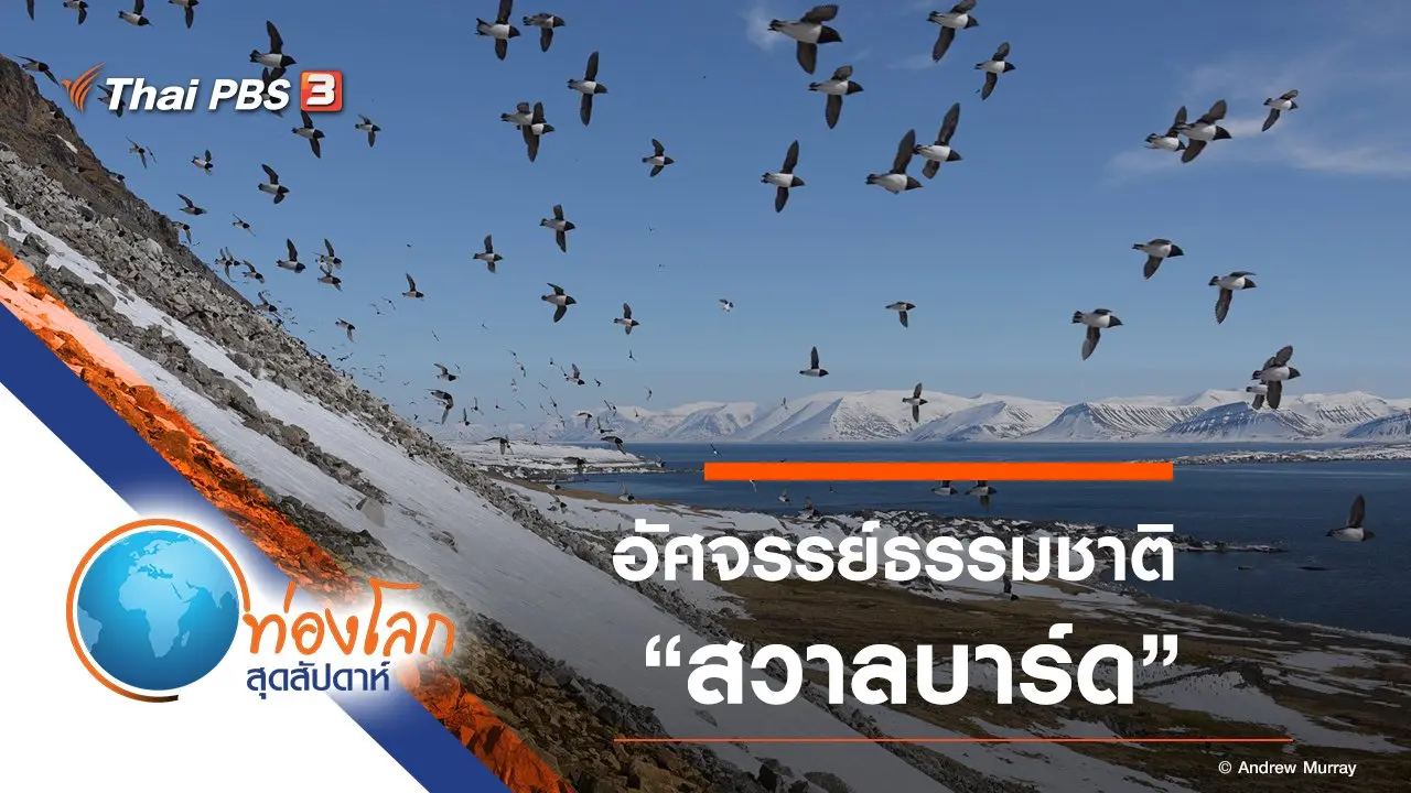 มหัศจรรย์แห่งฤดูกาล ตอน สวาลบาร์ด