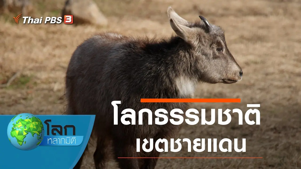 โลกธรรมชาติเขตชายแดน
