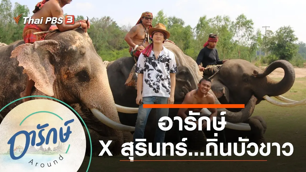 อารักษ์ x สุรินทร์...ถิ่นบัวขาว