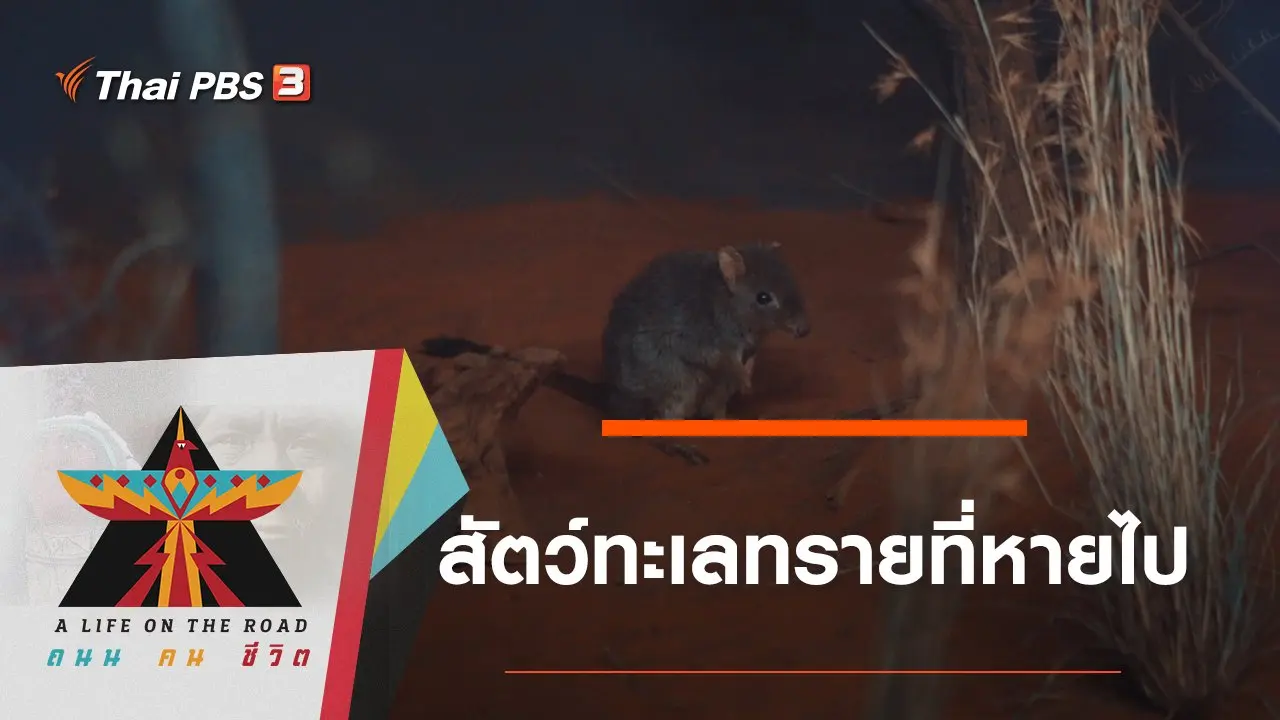 สัตว์ทะเลทรายที่หายไป