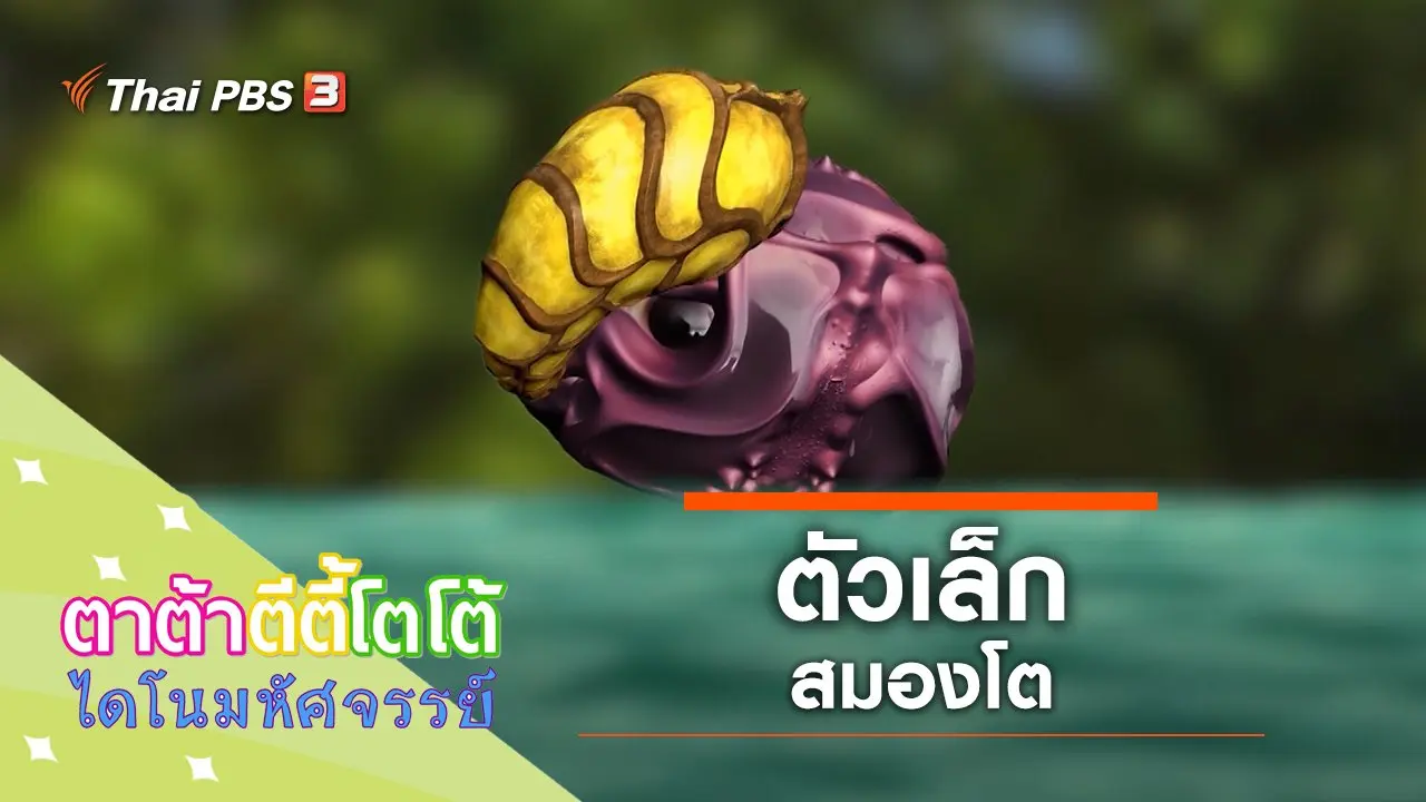 ตัวเล็กสมองโต