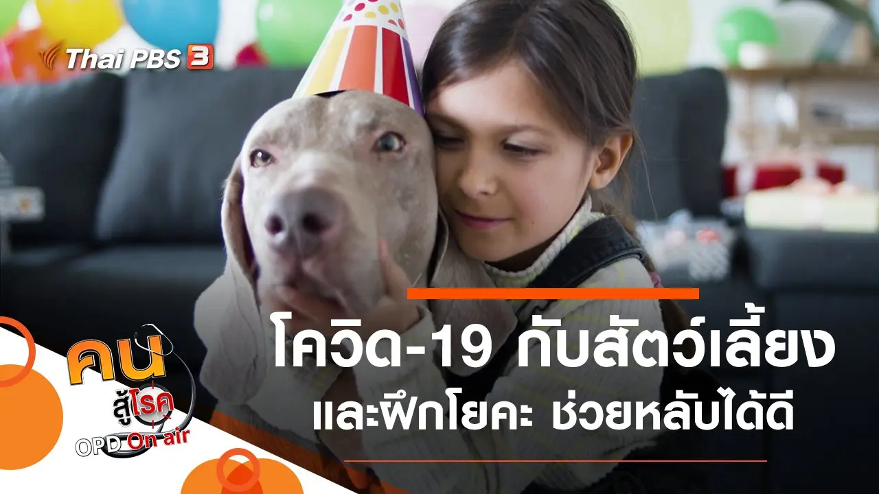 โควิด-19 กับสัตว์เลี้ยง, ฝึกโยคะช่วยหลับได้ดี