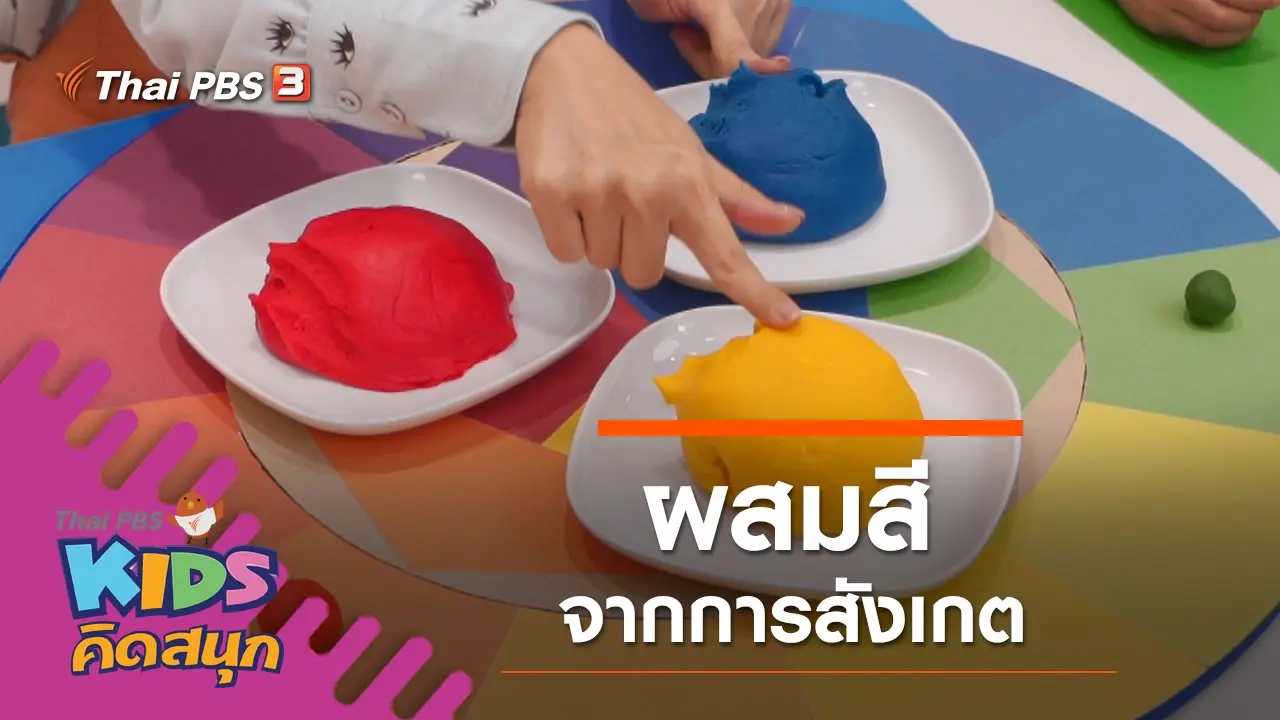ผสมสีจากการสังเกต