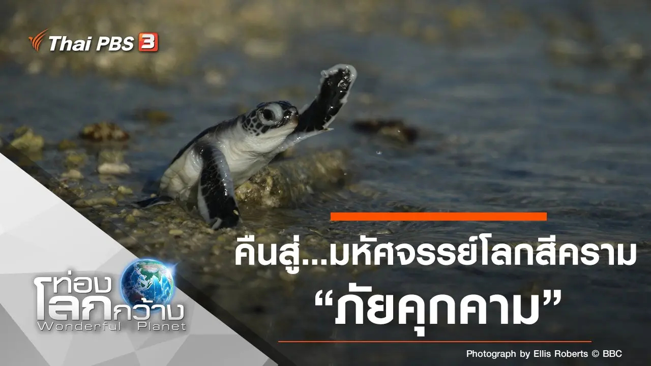 คืนสู่...มหัศจรรย์โลกสีคราม ตอน ภัยคุกคาม