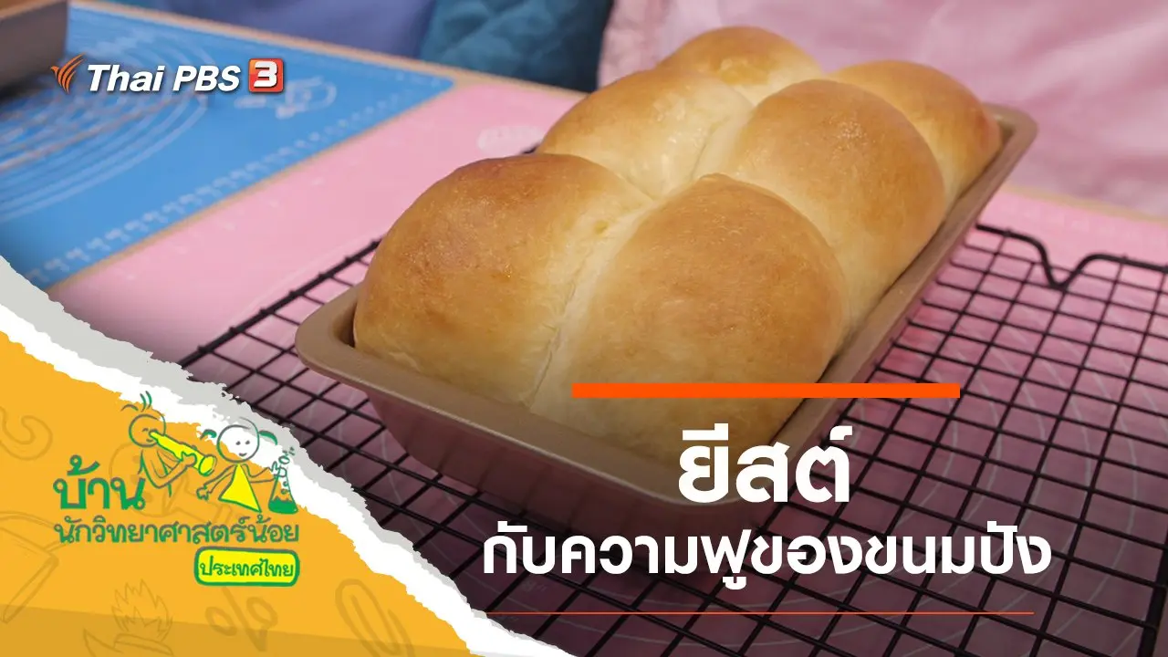 ยีสต์ฟู้ฟู