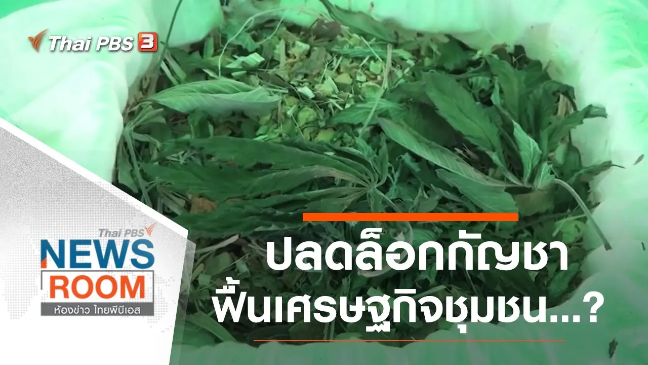 ปลดล็อกกัญชา  ฟื้นเศรษฐกิจชุมชน ...?