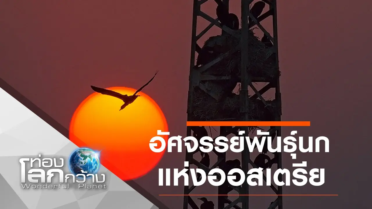 อัศจรรย์พันธุ์นกแห่งออสเตรีย