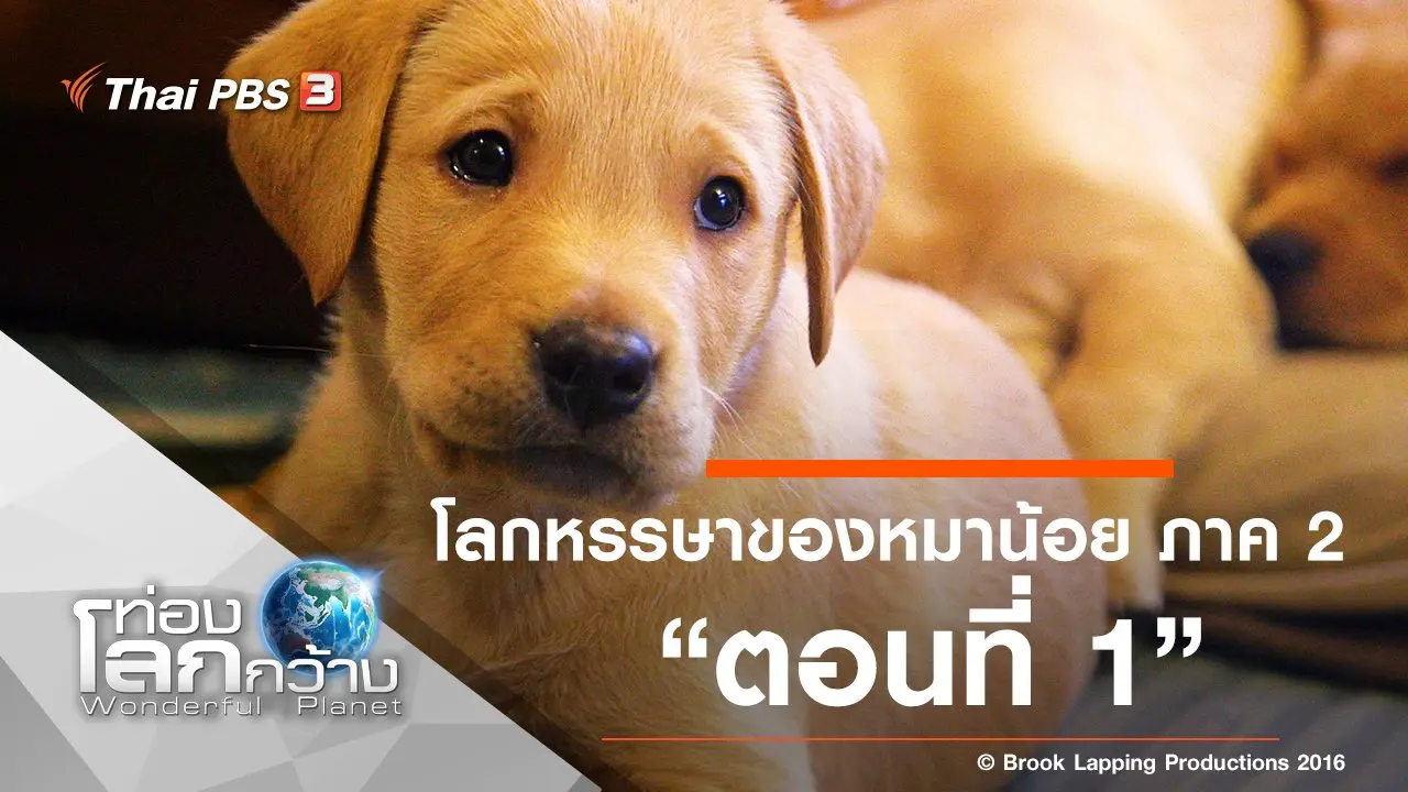 โลกหรรษาของหมาน้อย ภาค 2 ตอนที่ 1