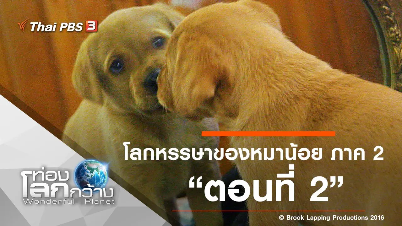โลกหรรษาของหมาน้อย ภาค 2 ตอนที่ 2