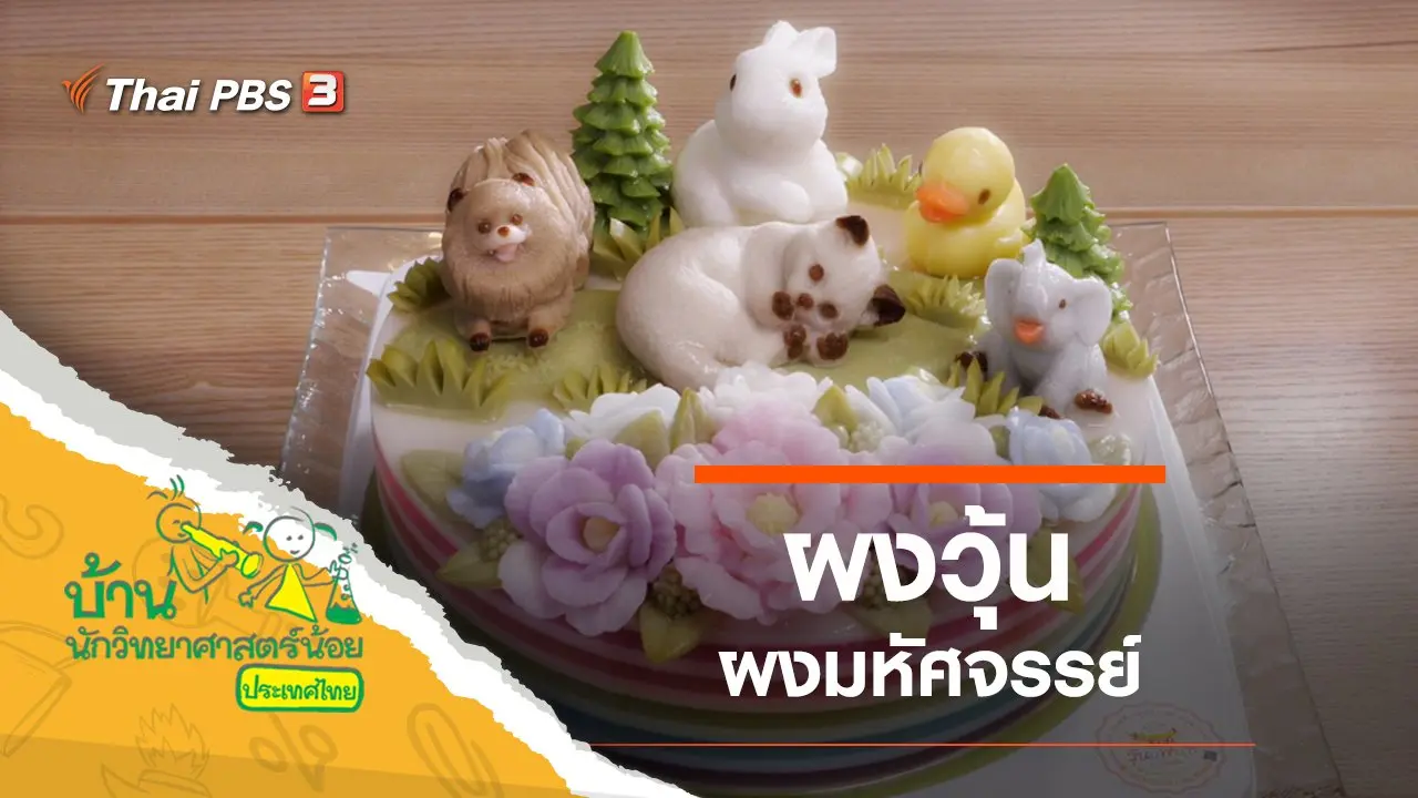 ผงวุ้นมหัศจรรย์