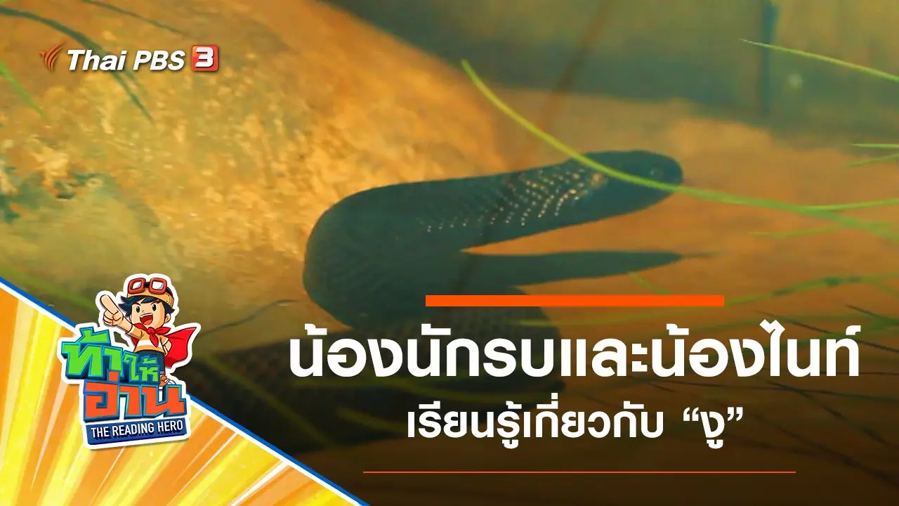 งู : น้องนักรบและน้องไนท์
