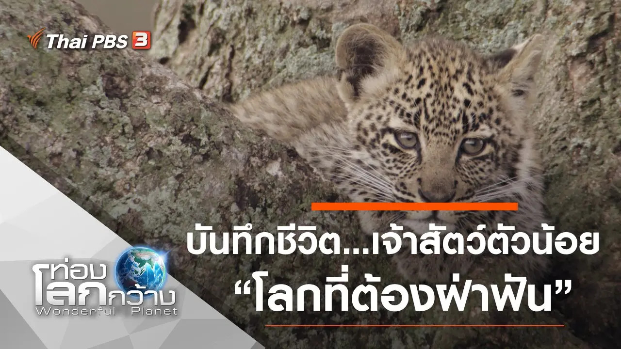 บันทึกชีวิต...เจ้าสัตว์ตัวน้อย ตอน โลกที่ต้องฝ่าฟัน