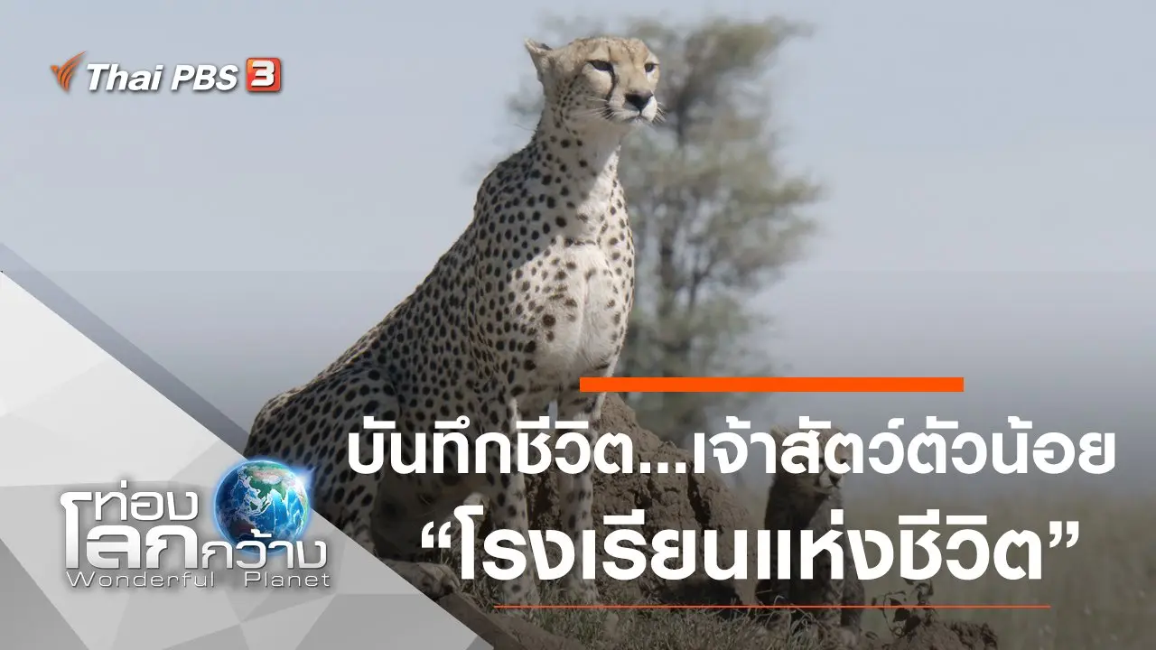 บันทึกชีวิต...เจ้าสัตว์ตัวน้อย ตอน โรงเรียนแห่งชีวิต