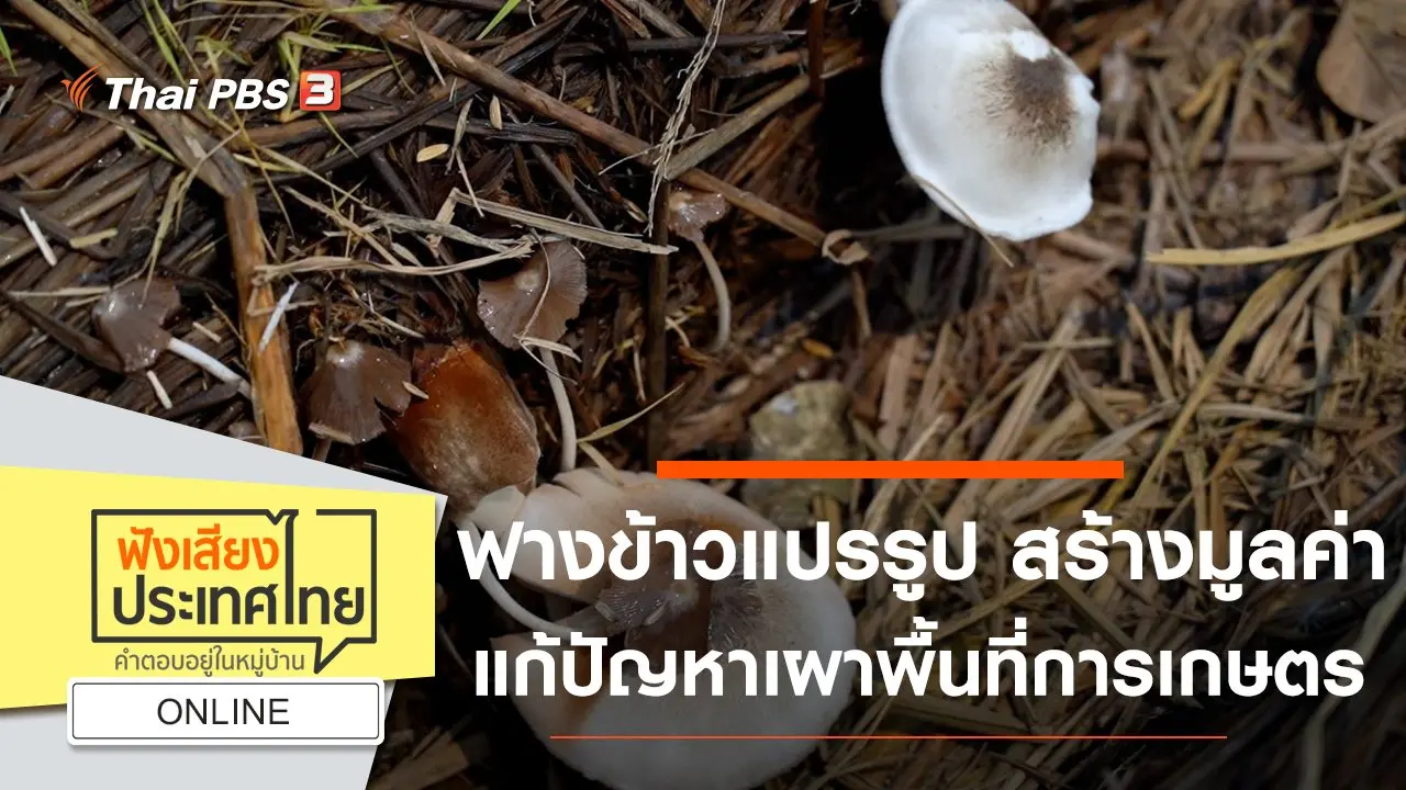 Online : ฟางข้าวแปรรูป สร้างมูลค่า แก้ปัญหาเผาพื้นที่การเกษตร