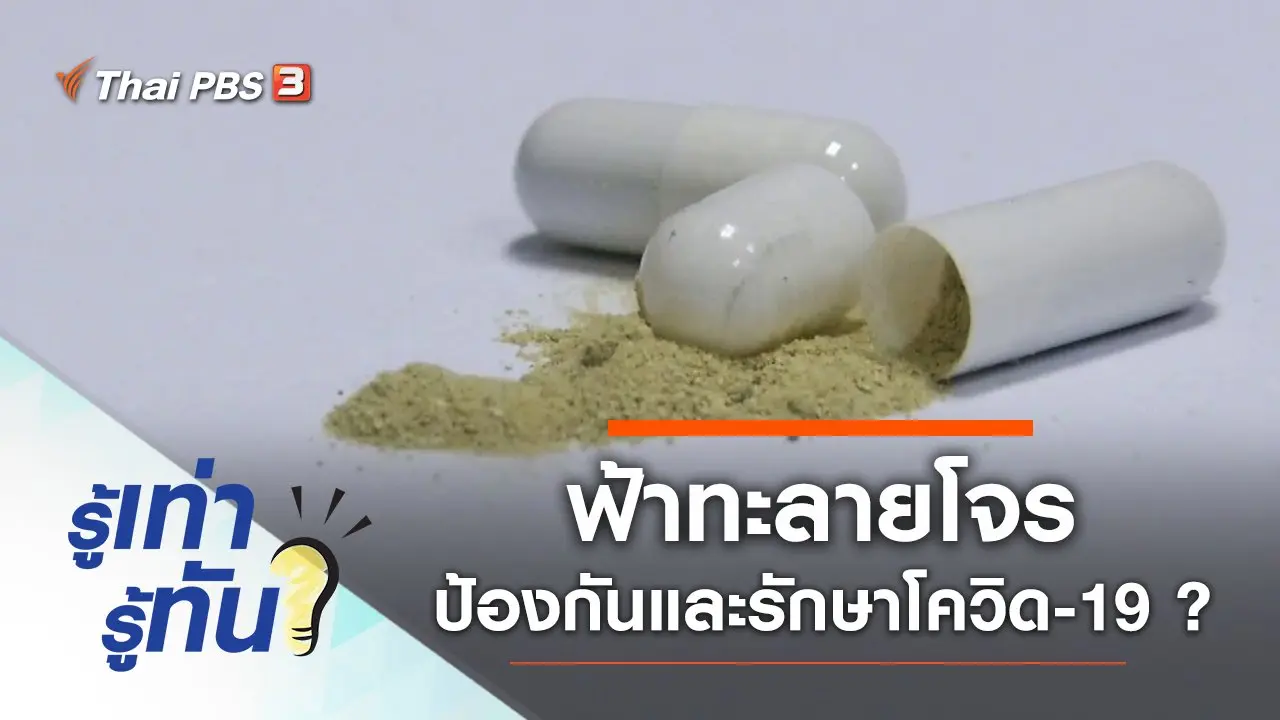 ฟ้าทะลายโจรป้องกันและรักษาโควิด-19 ได้จริงหรือ ?