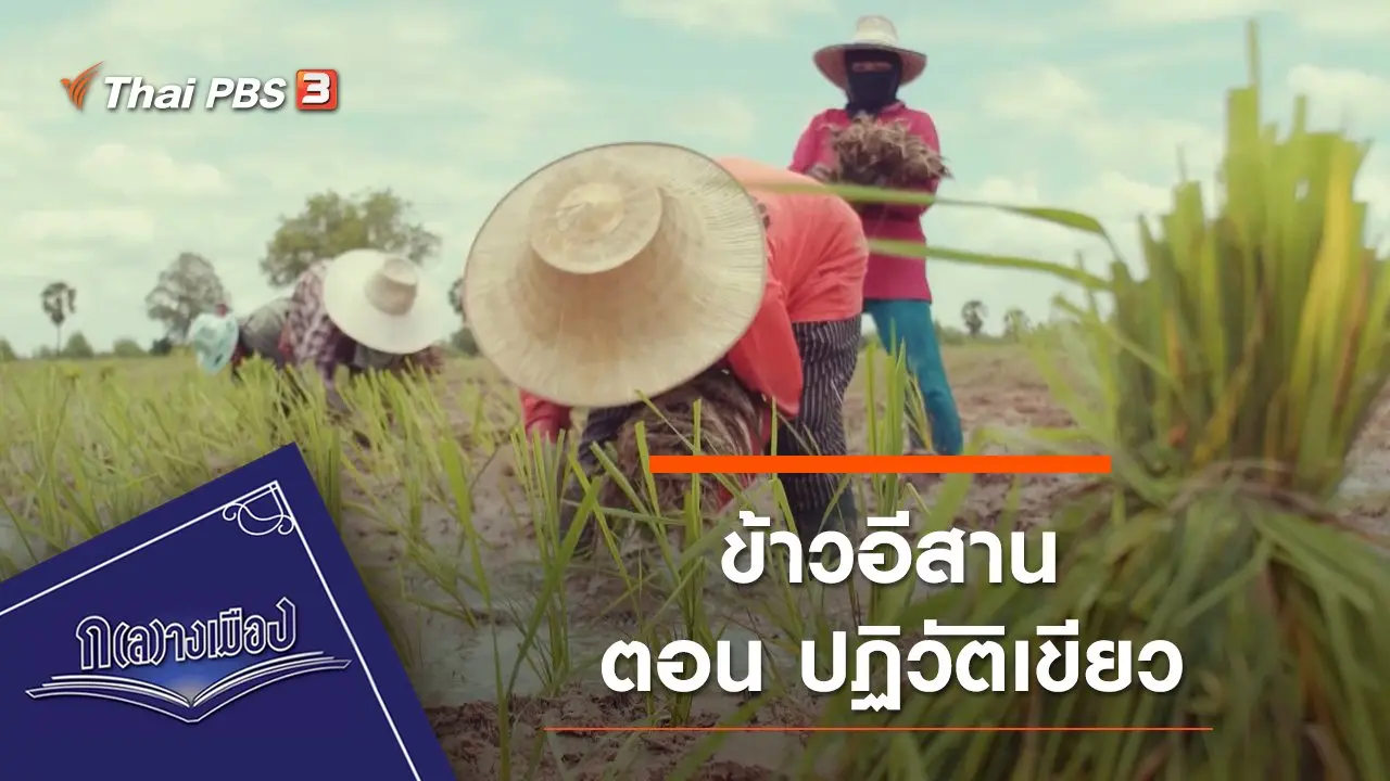 ข้าวอีสาน : ปฏิวัติเขียว