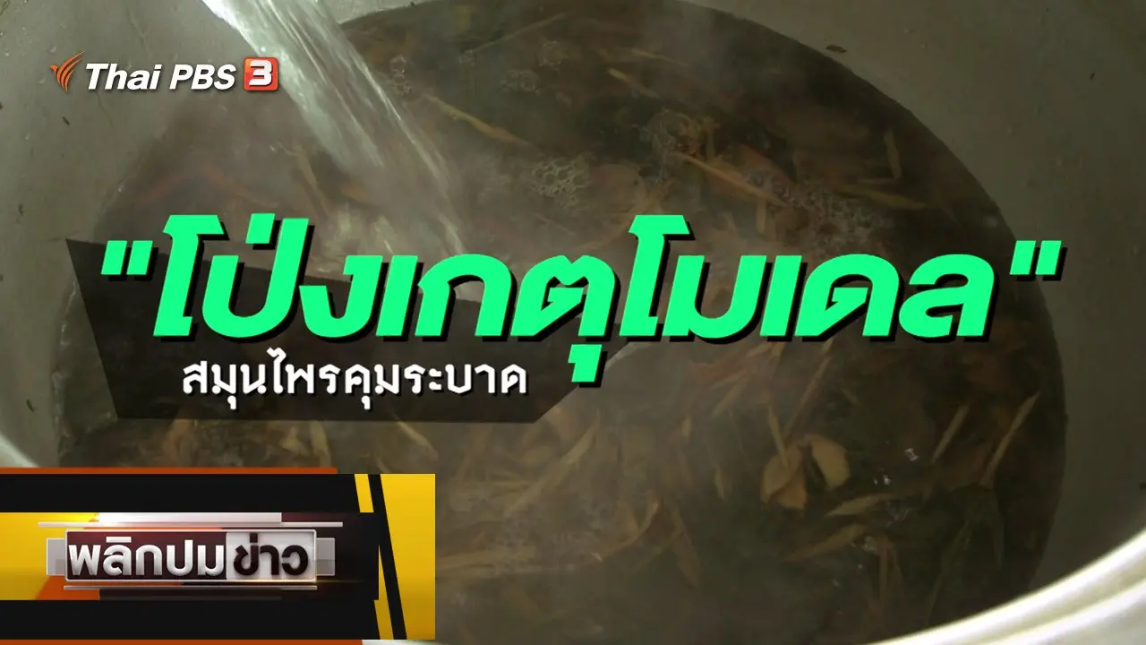 โป่งเกตุโมเดล สมุนไพรคุมระบาด