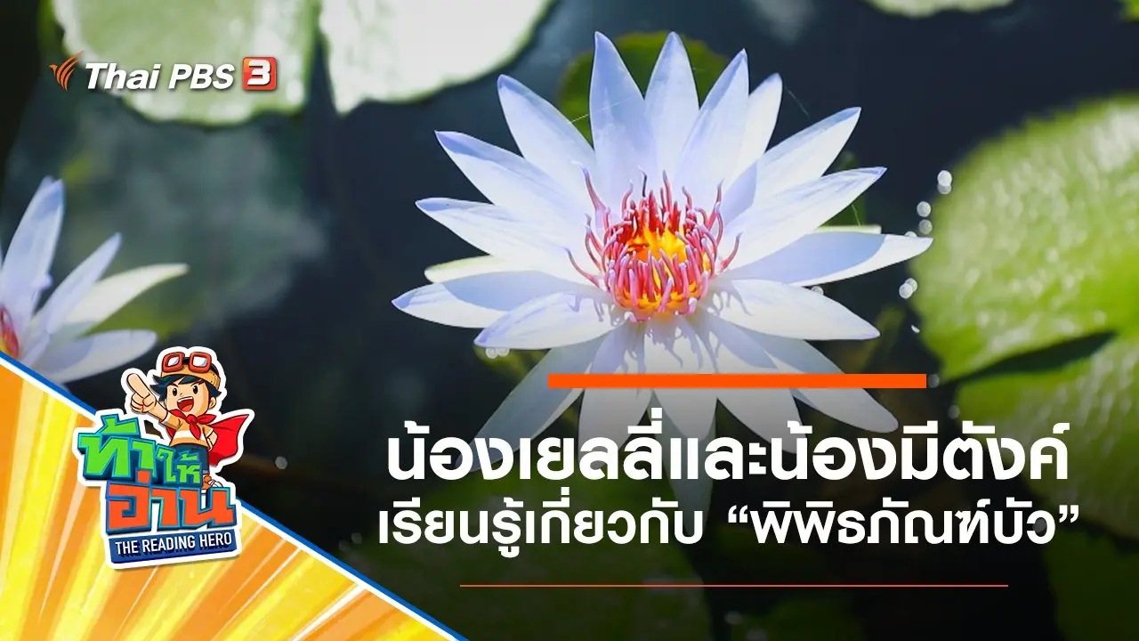 พิพิธภัณฑ์บัว : น้องเยลลี่และน้องมีตังค์