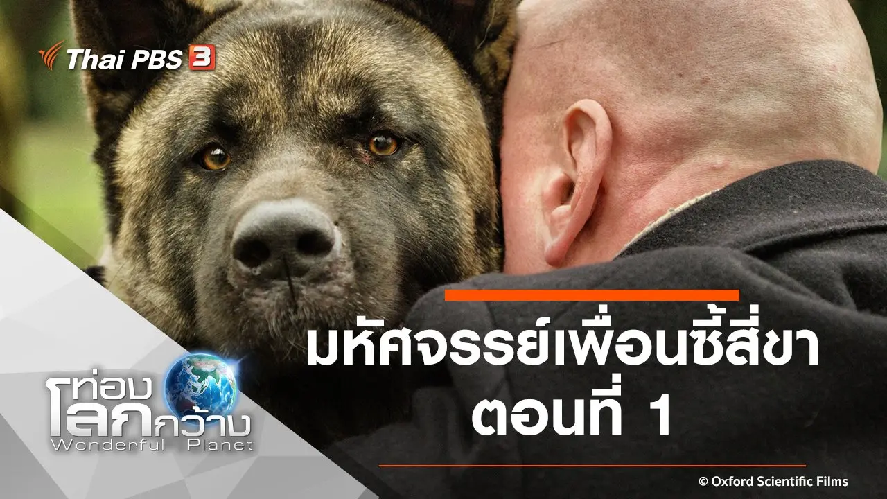 มหัศจรรย์เพื่อนซี้สี่ขา ตอนที่ 1